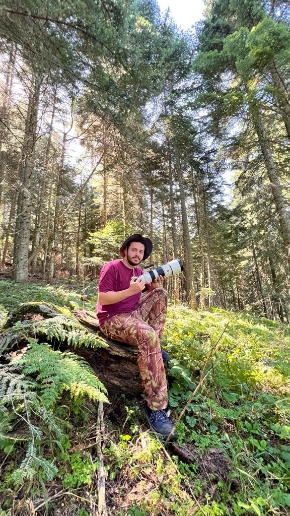 Türkiye’nin en şansız geyiği görüntülendi, şanssızlığının altında yatan sebep ise bir hayli ilginç