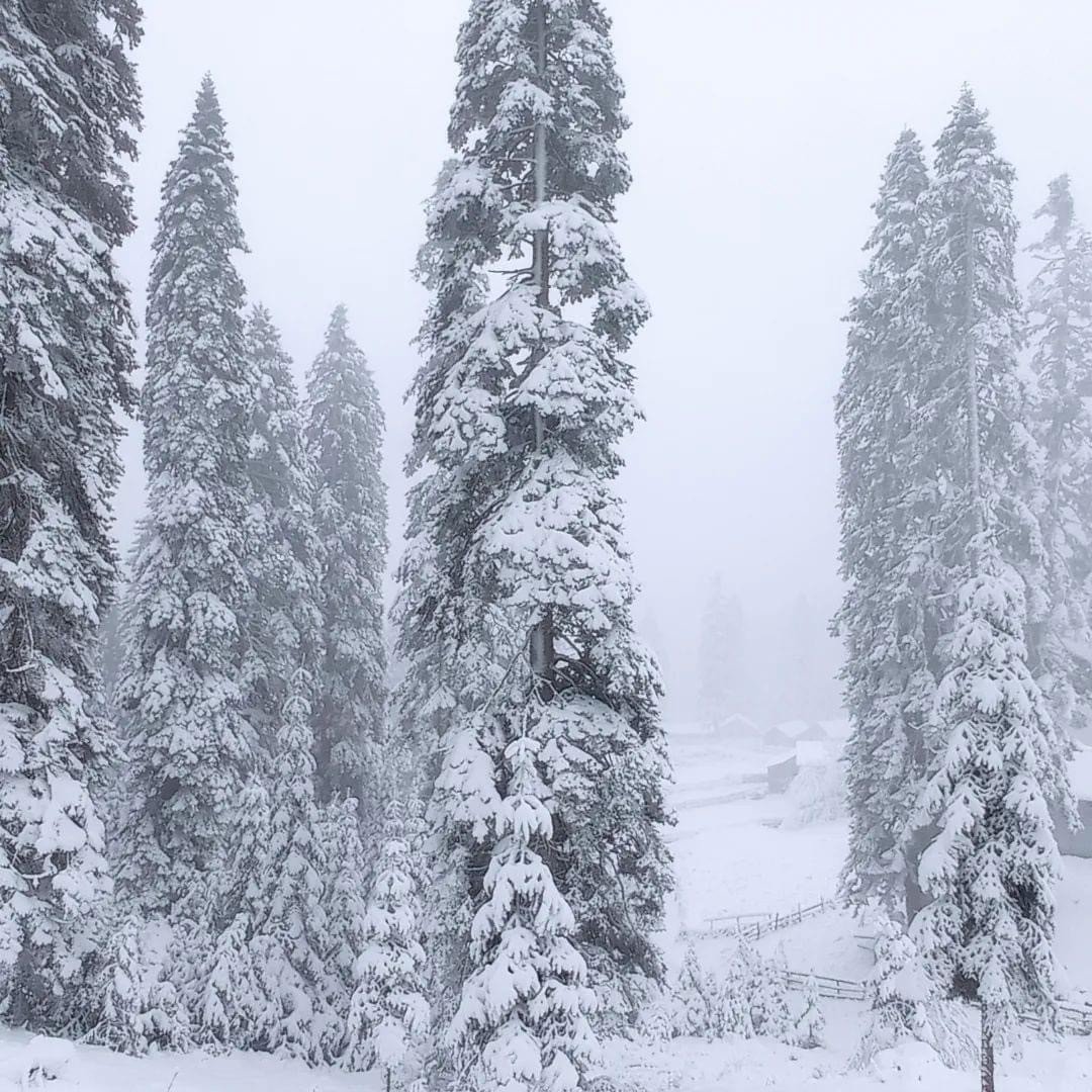 Düzce’de yüksek kesimler beyaza büründü