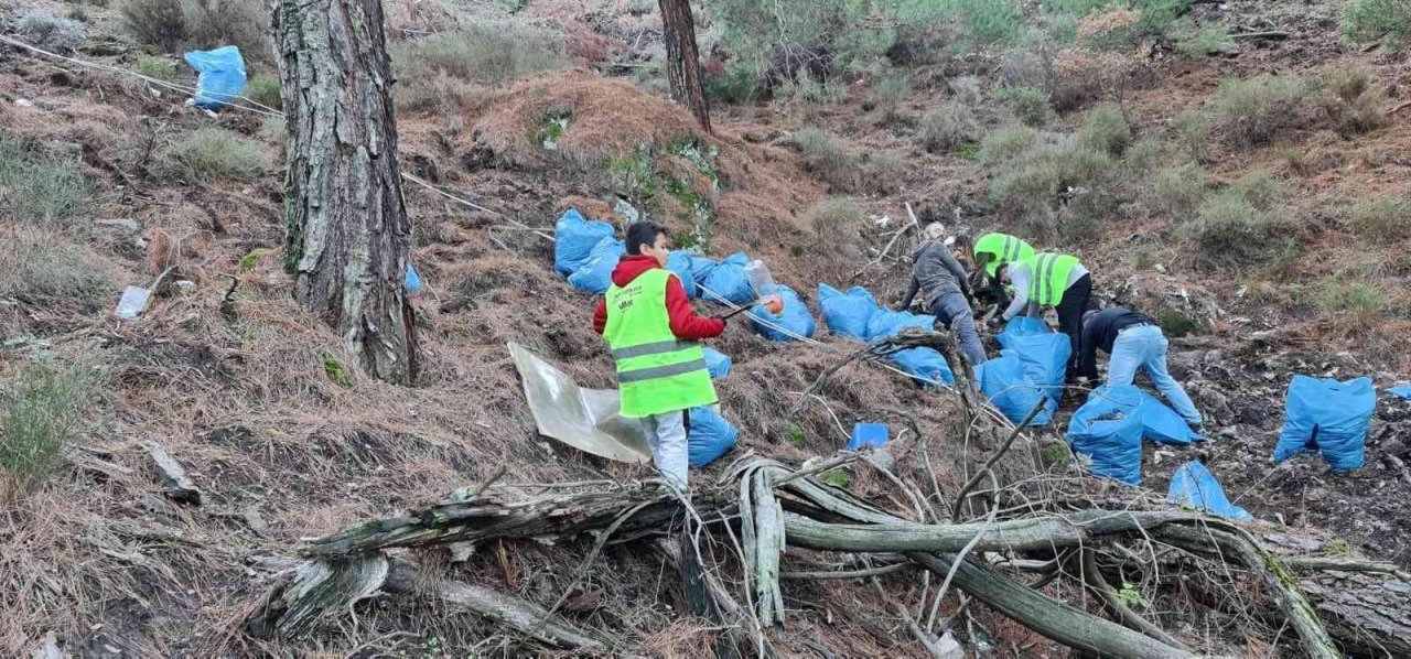 Utanç tablosunu yeşile çevirdiler