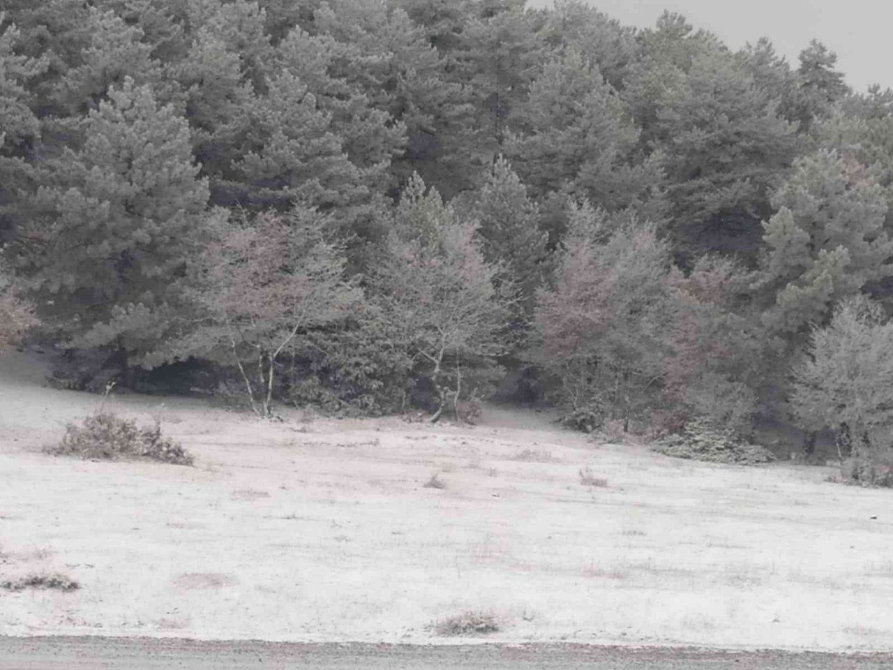 Sungurlu’ya mevsimin ilk karı yağdı