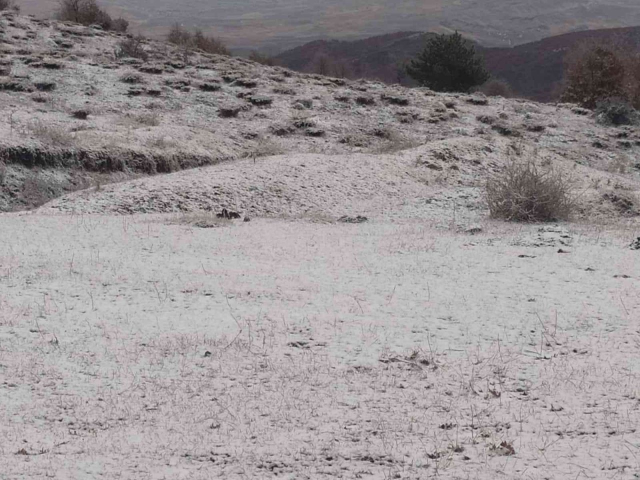 Sungurlu’ya mevsimin ilk karı yağdı