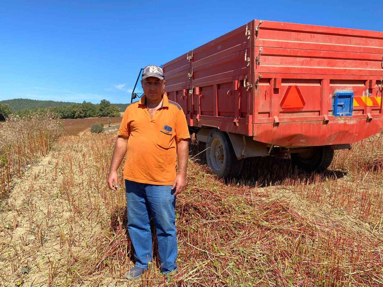 Bu buğday çölyak hastaları için çok önemli