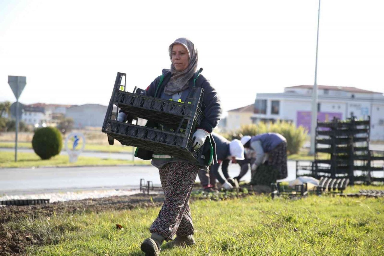 Merkezefendi mevsimlik çiçek dikimiyle renkleniyor