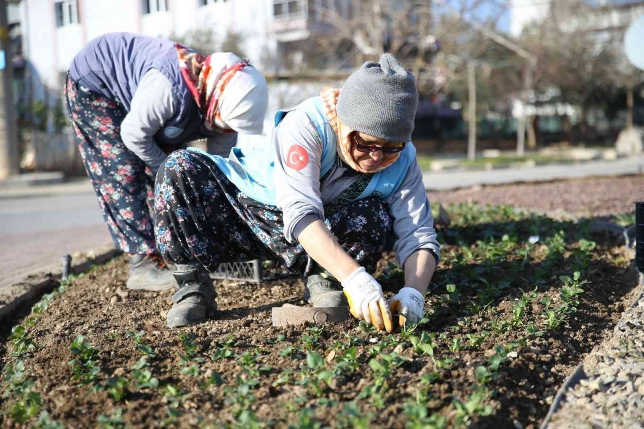 Merkezefendi mevsimlik çiçek dikimiyle renkleniyor