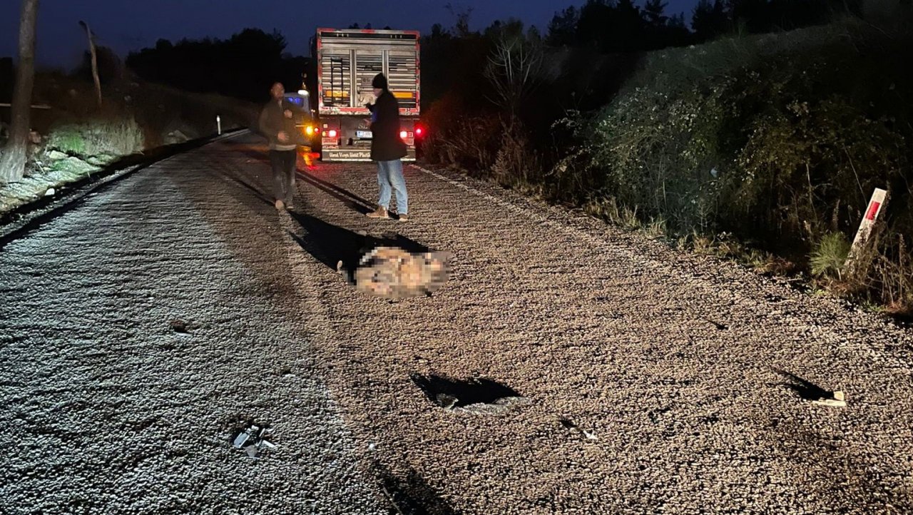 Otomobilin çarptığı yaşlı adam hayatını kaybetti