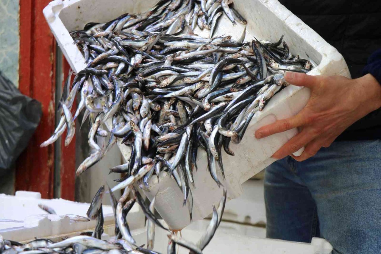 Vatandaş balık fiyatlarından, balıkçı da vatandaştan şikayetçi