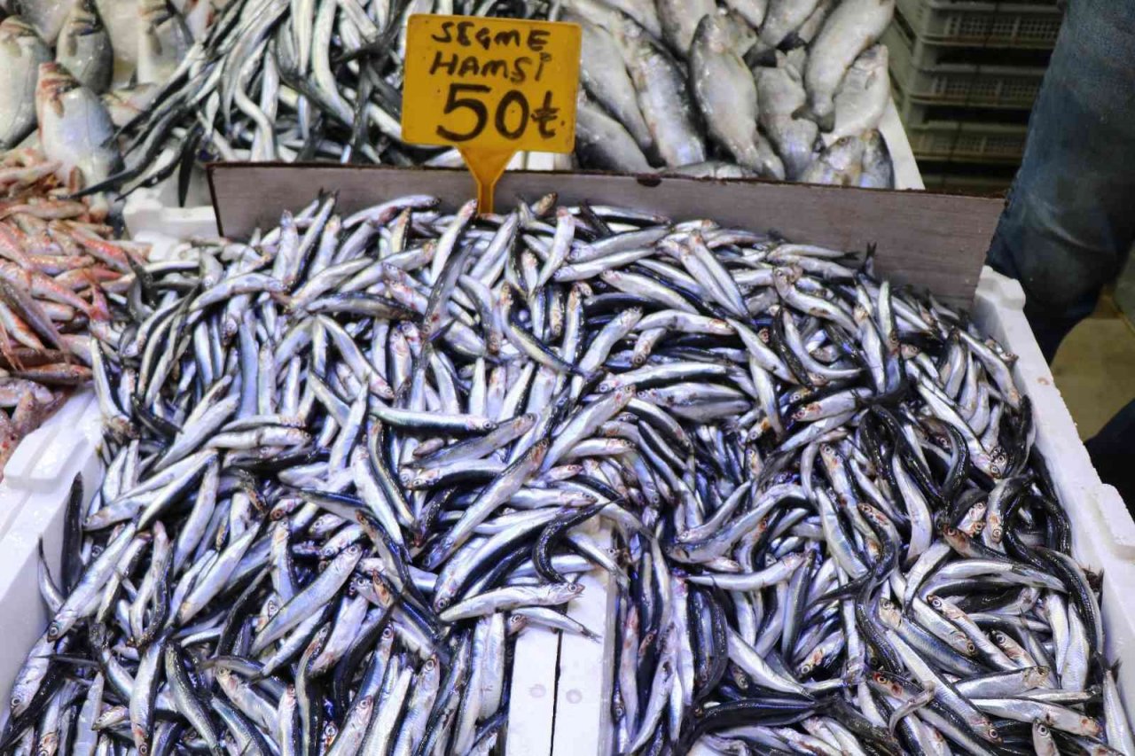 Vatandaş balık fiyatlarından, balıkçı da vatandaştan şikayetçi