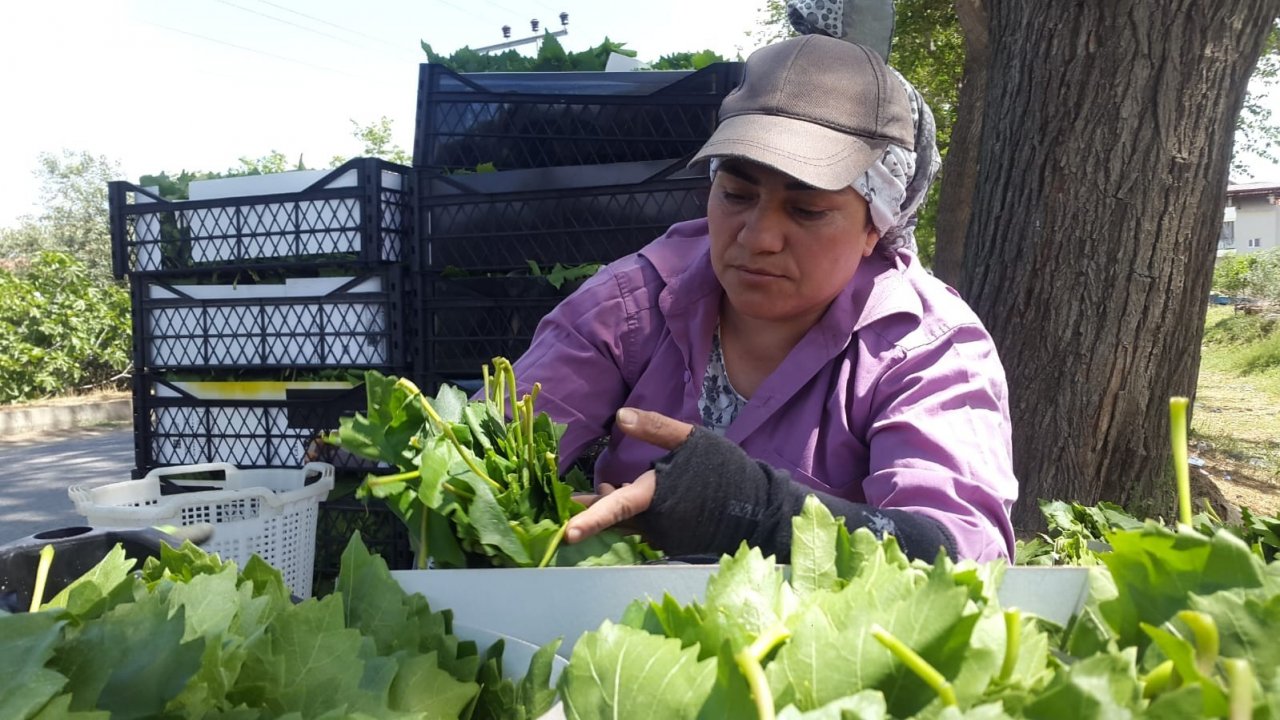 Onlar için üzüm sadece üzüm değil