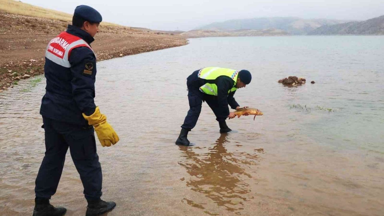 Sulama barajında bin metrelik misina ağı ele geçirildi: Ağa takılan balıklar suya bırakıldı