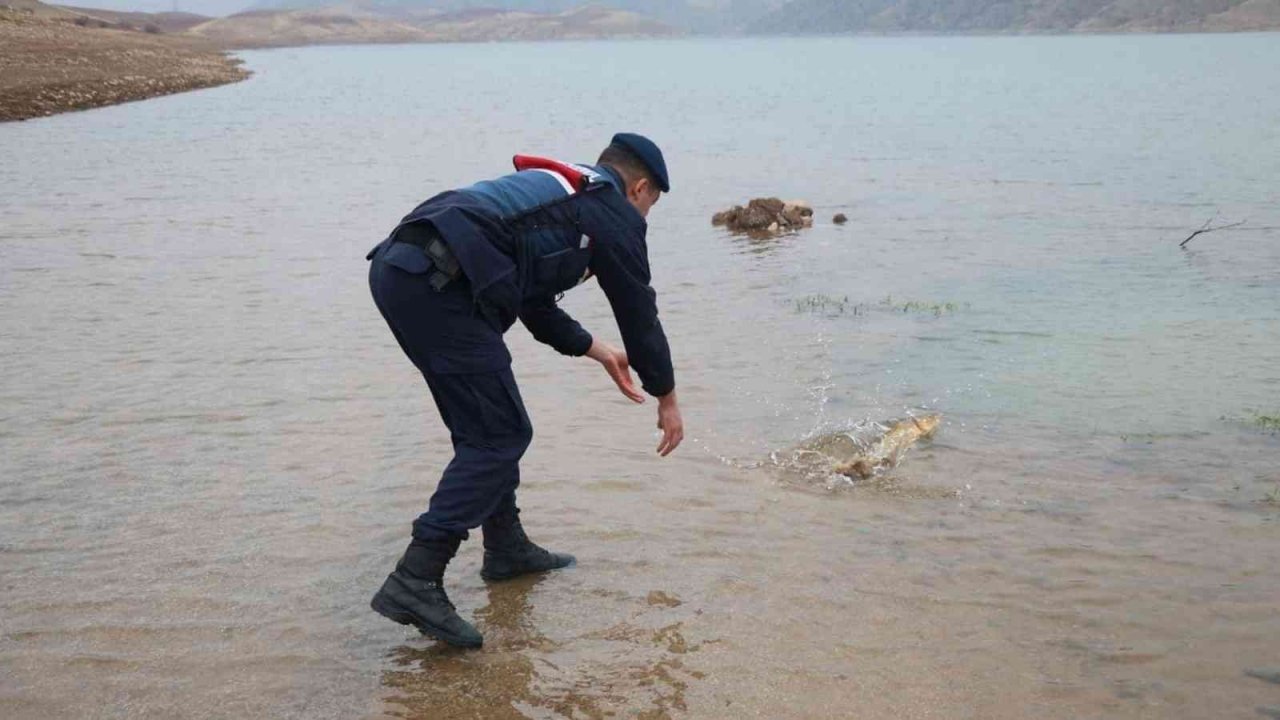 Sulama barajında bin metrelik misina ağı ele geçirildi: Ağa takılan balıklar suya bırakıldı