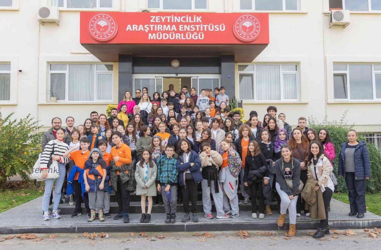 Çocukların zeytin hasadı sevinci