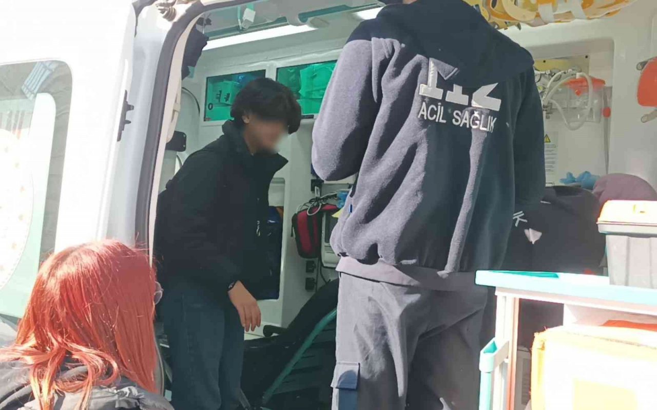 Sevmek istediği köpek tarafından ısırıldı