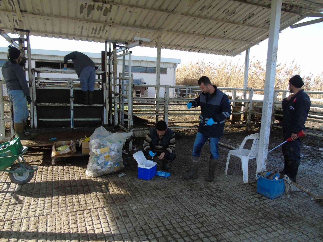 İthal hayvanların karantina ve sonrasındaki takipleri titizlikle yapılıyor