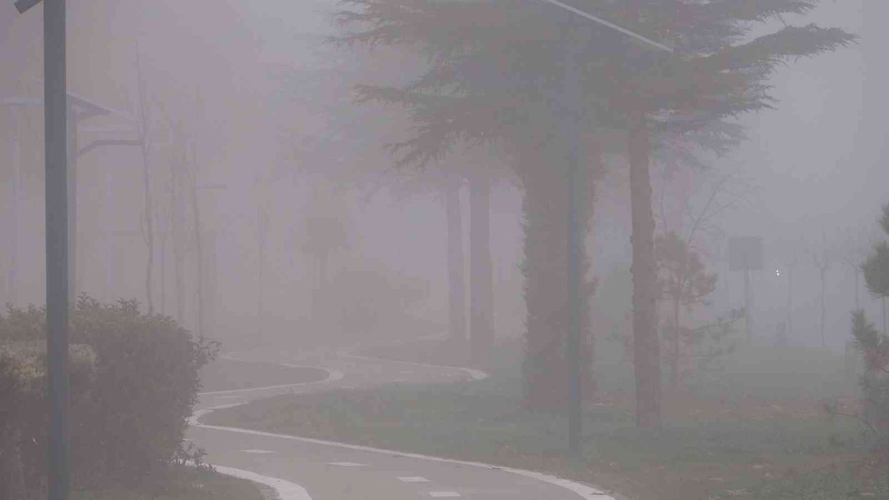 Elazığ’da sis etkili oldu