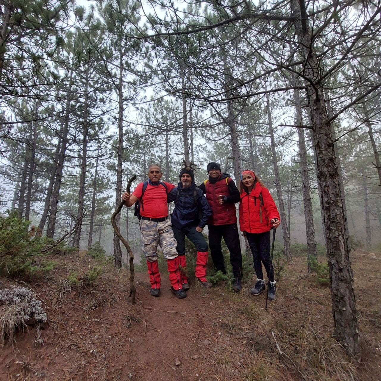 Doğa yürüyüşçülerine sis eşlik etti