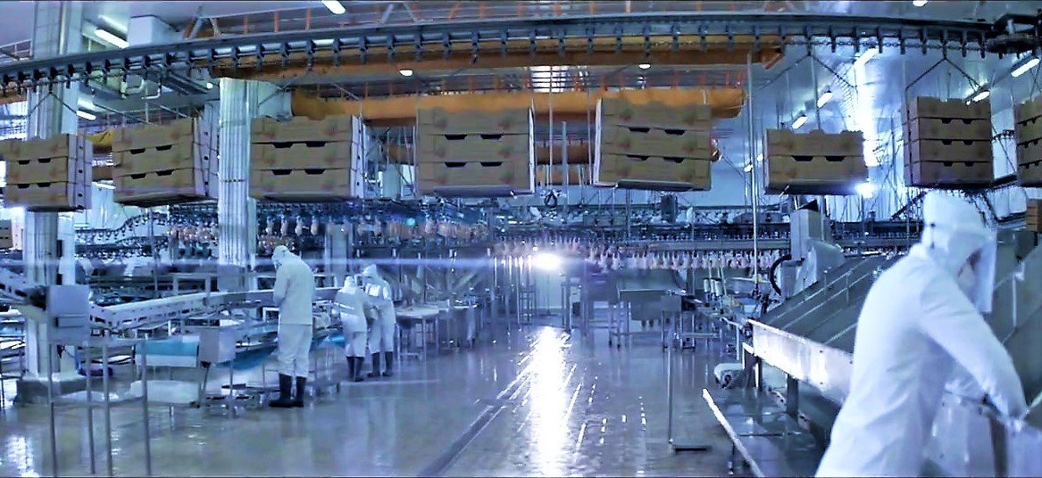 Gedik Piliç 70 ülkeye 120 milyon doların üzerine ihracat yaptı