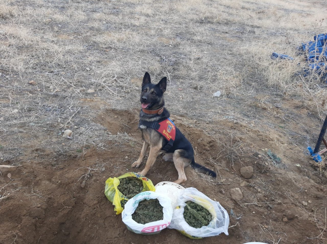 Uyuşturucu imali için evini seraya çeviren zehir tacirlerine jandarma göz açtırmadı