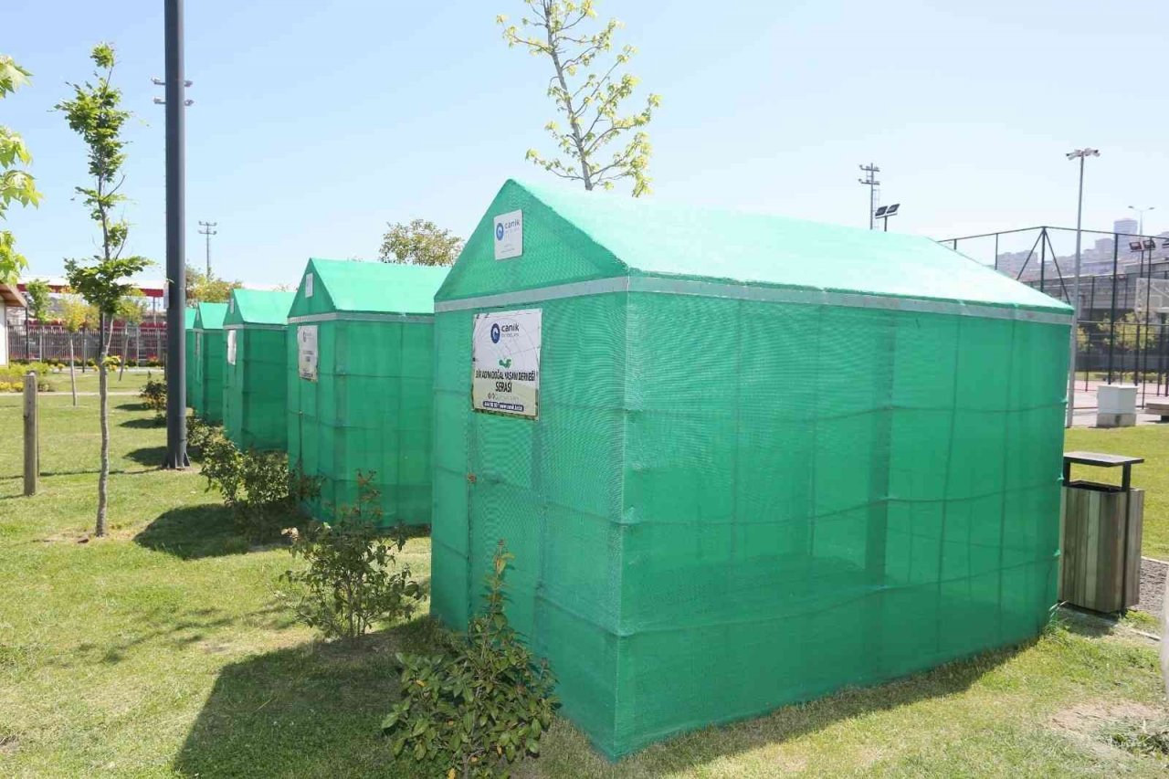 Canik’te hedef: Sürdürülebilir tarım