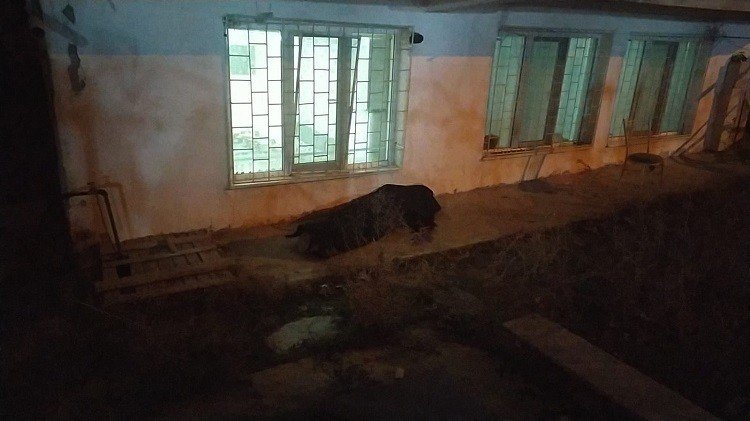 Boşanma aşamasındaki eşinin evinin önünde canına kıydı