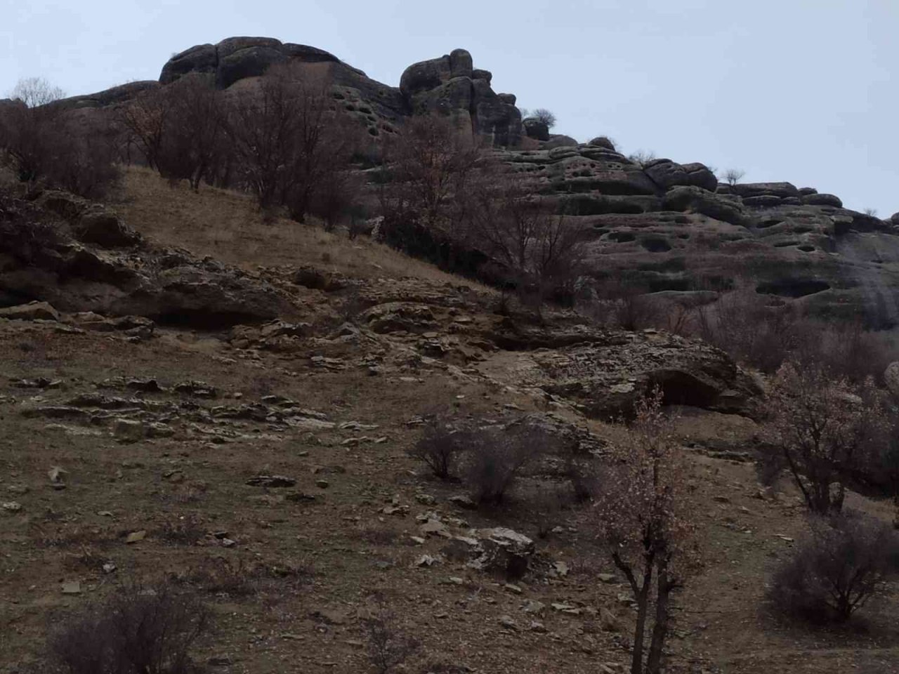 İtfaiye ekipleri, dağda mahsur kalan keçiyi 5 saatlik uğraş sonucu kurtardı