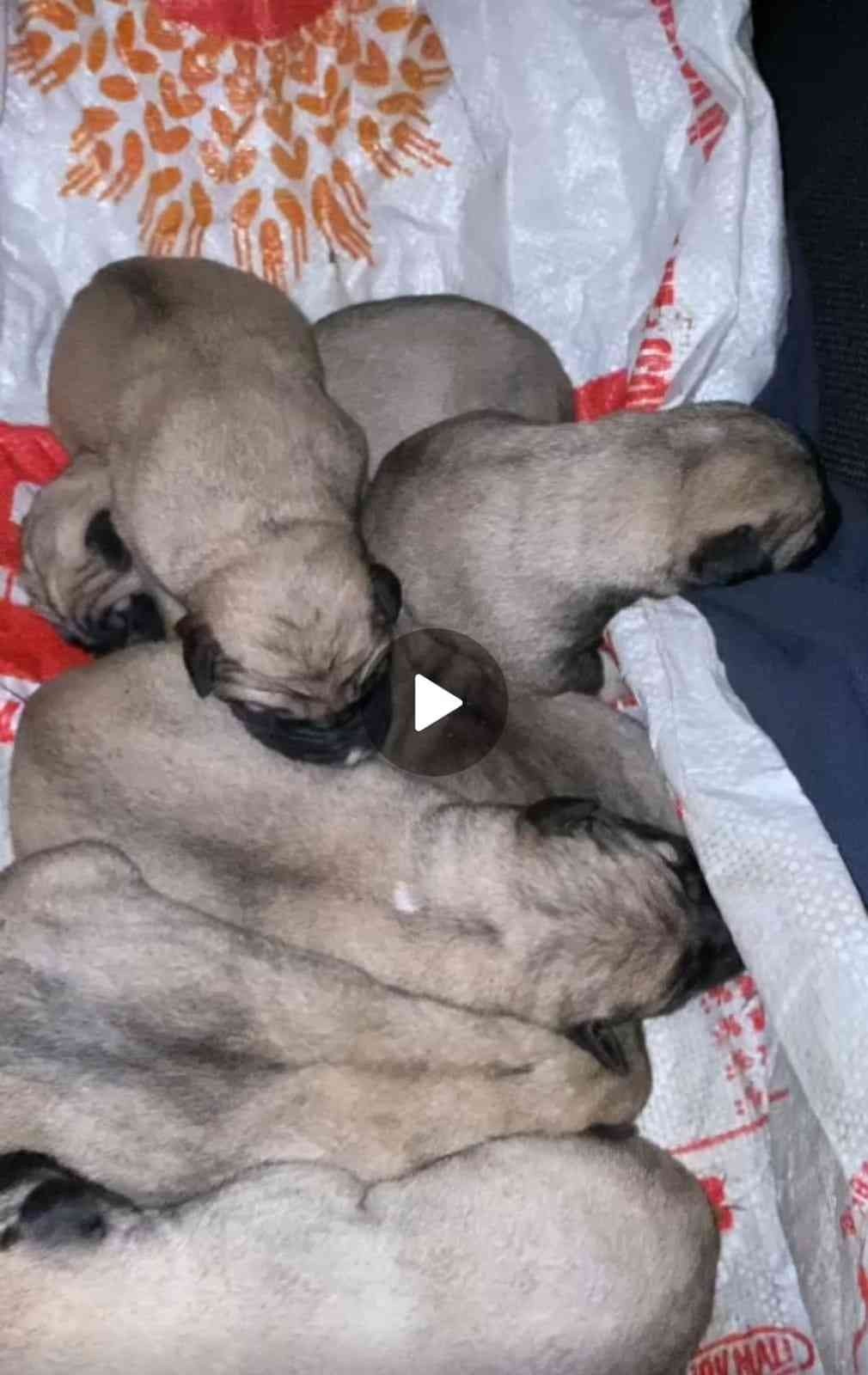 Eskişehir’de vicdanları hem sızlatan hem de ısıtan olay