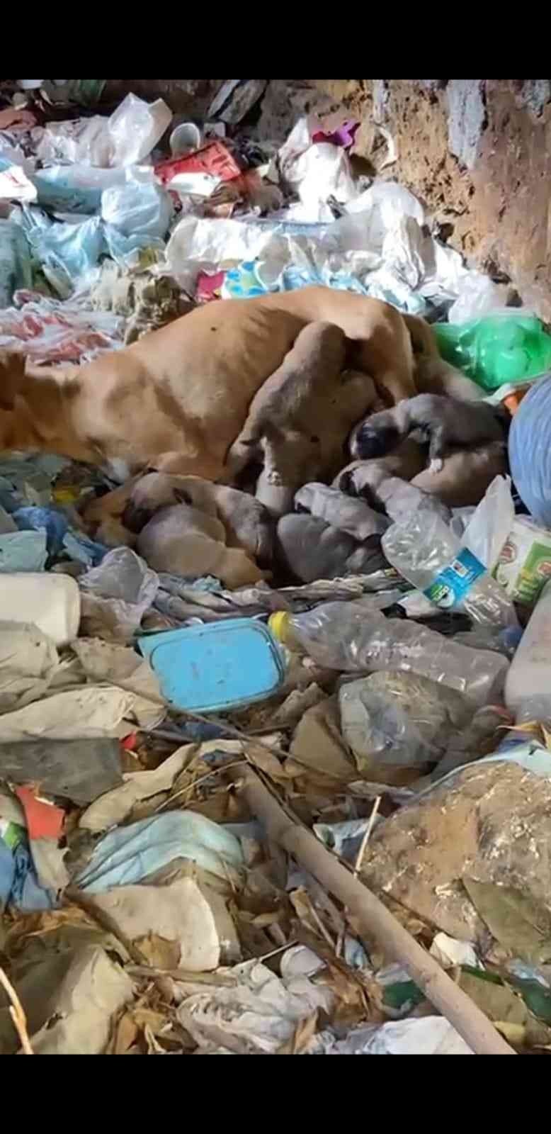 Eskişehir’de vicdanları hem sızlatan hem de ısıtan olay