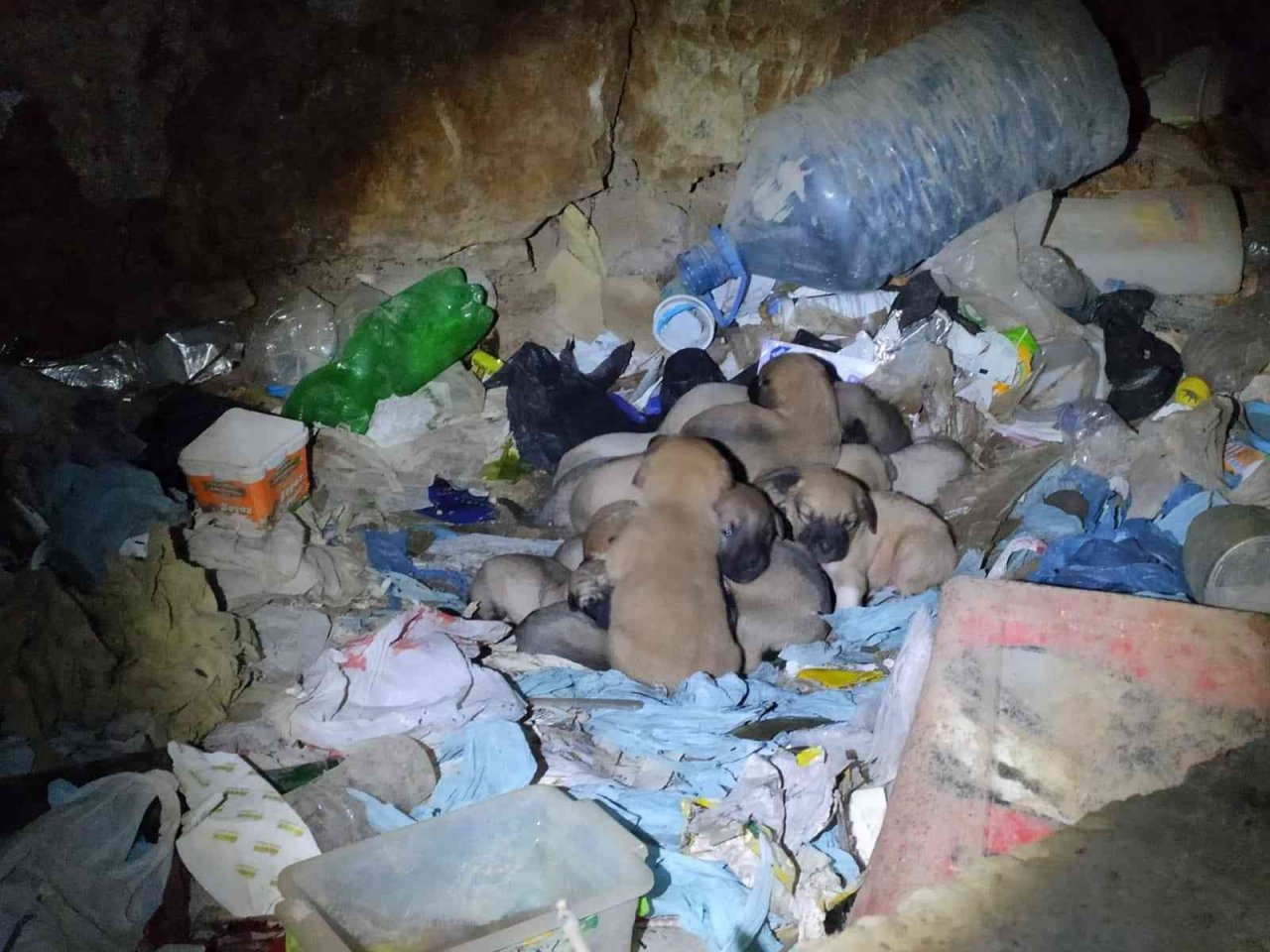 Eskişehir’de vicdanları hem sızlatan hem de ısıtan olay