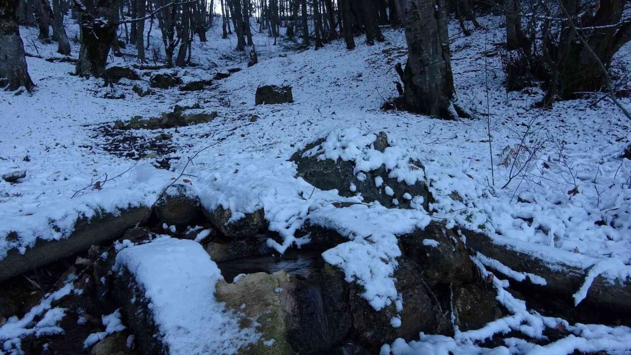 Abant beyaz örtüyle kaplandı