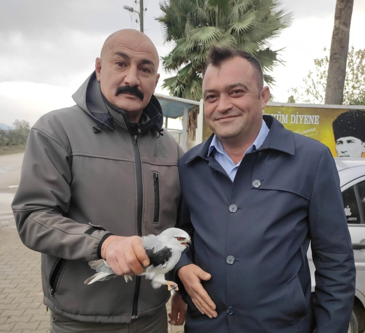 Osmaniye’de yaralı bulunan kızıl şahin ve ak çaylak tedaviye alındı