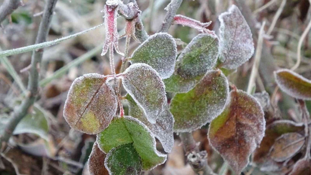 Sivas’ta buz kazıma mesaisi başladı