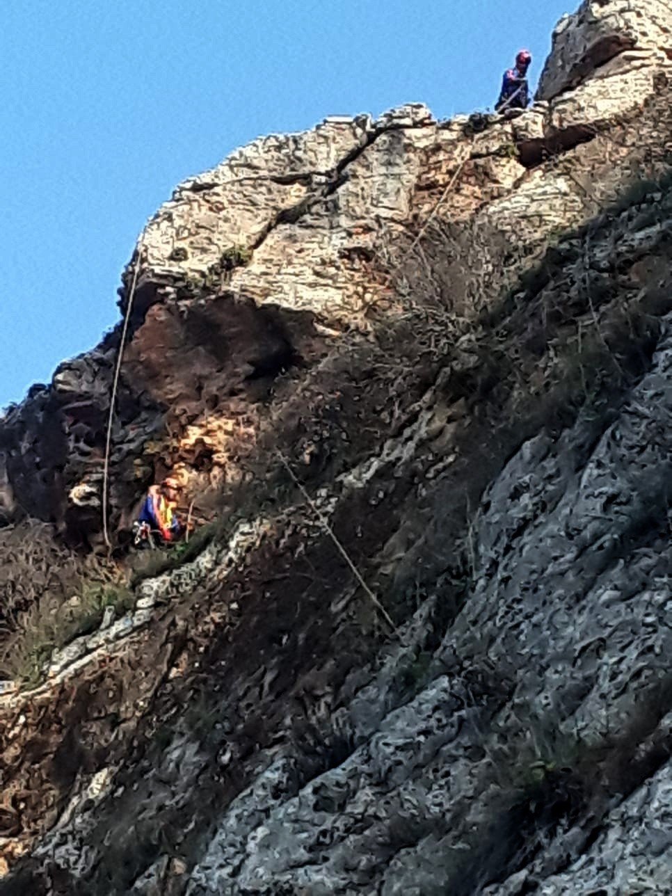 Kayalıklarda mahsur kalan keçiler halatlarla kurtarıldı