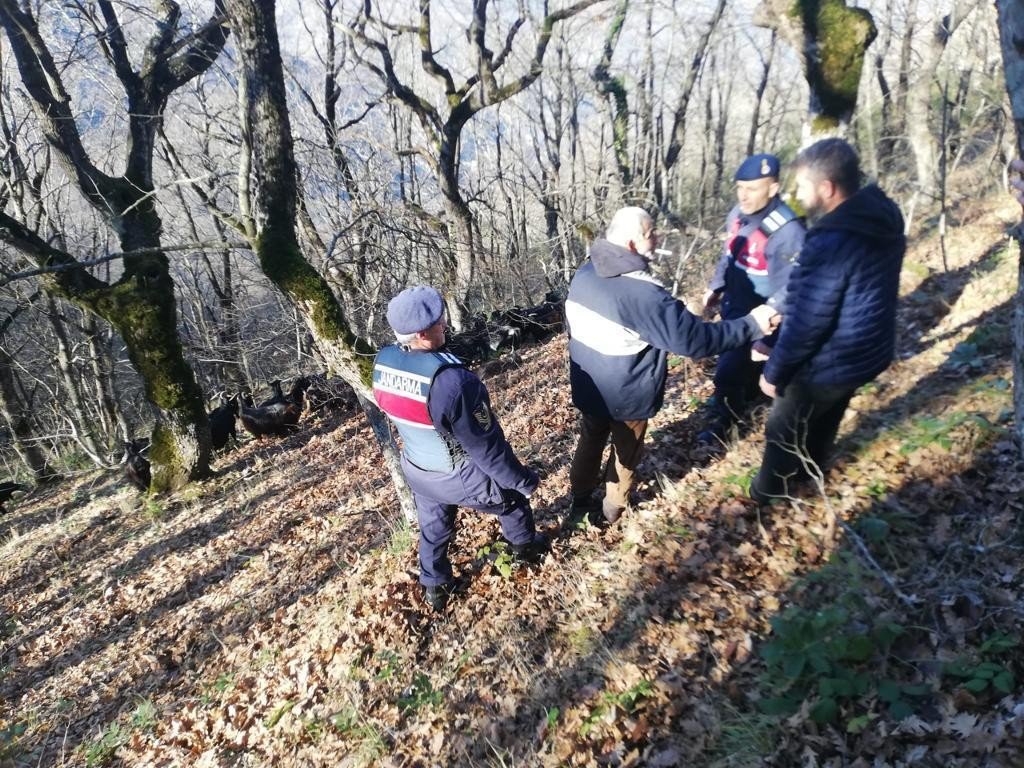 Kayıp koyunları jandarma ekipleri buldu