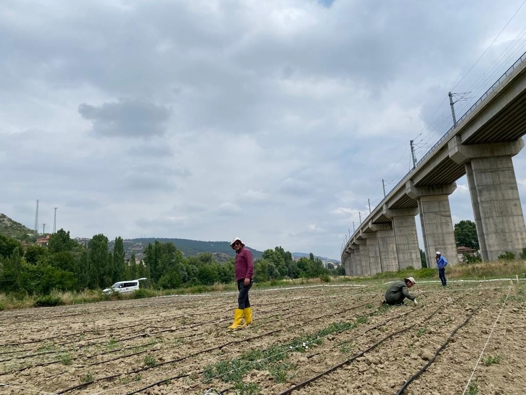BŞEÜ çiftçiler için yeni bir proje yürütüyor