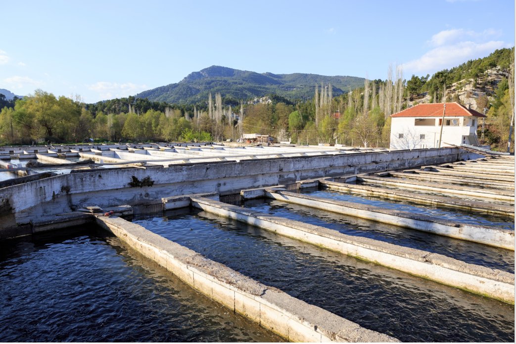 Çameli’den bu yıl 800 milyonluk tarımsal üretim yapıldı