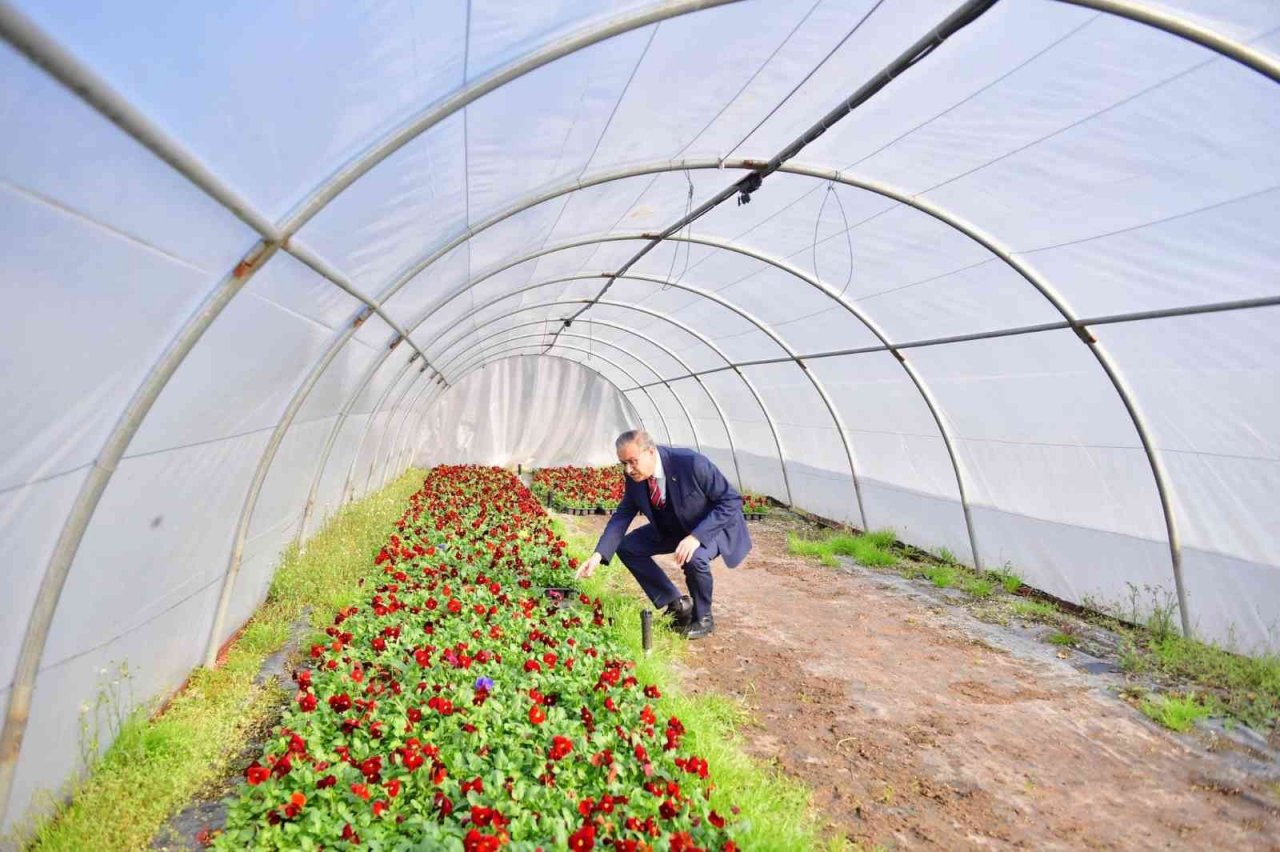 Diyarbakır Valisi şehrin ağaçlandırma çalışmalarını inceledi
