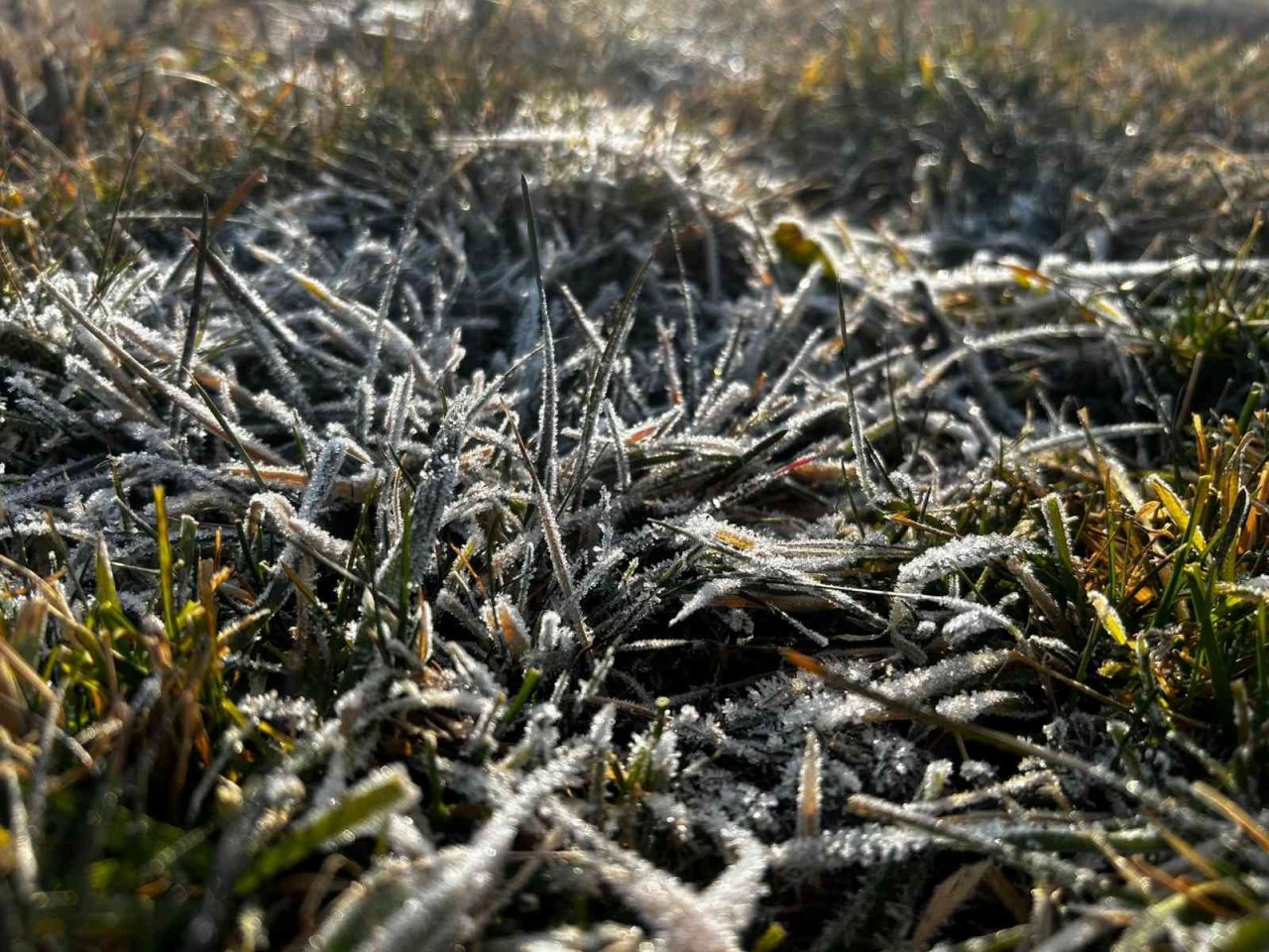 Hava sıcaklığının eksi 5’e düştüğü Erzurum buz tuttu