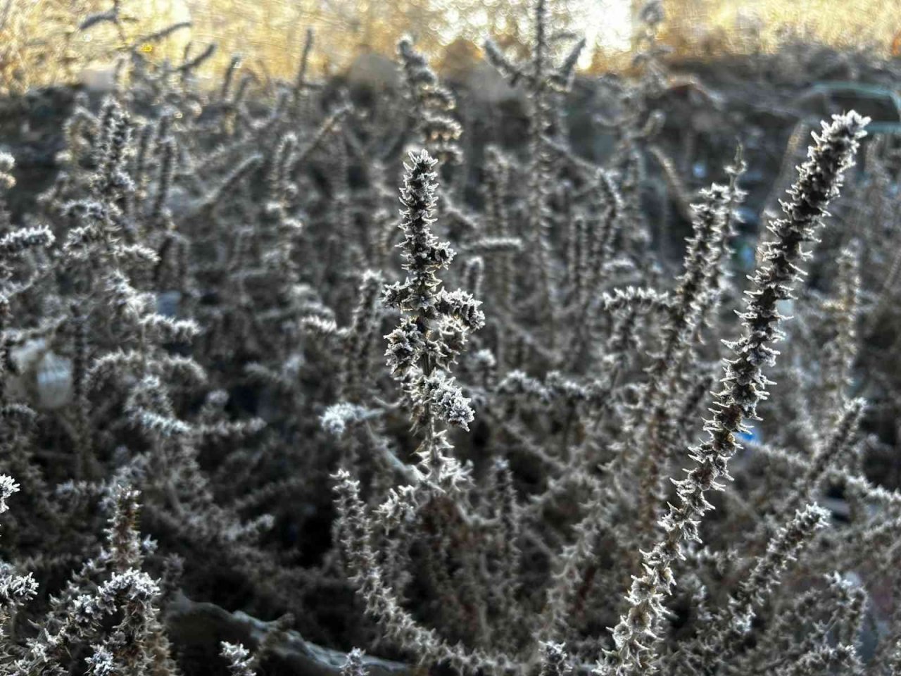 Hava sıcaklığının eksi 5’e düştüğü Erzurum buz tuttu