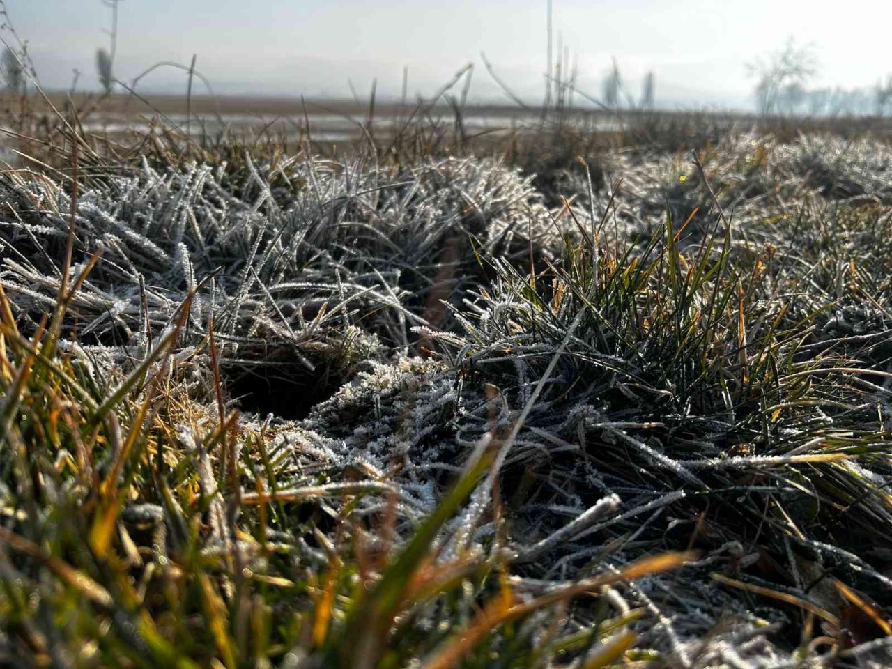 Hava sıcaklığının eksi 5’e düştüğü Erzurum buz tuttu