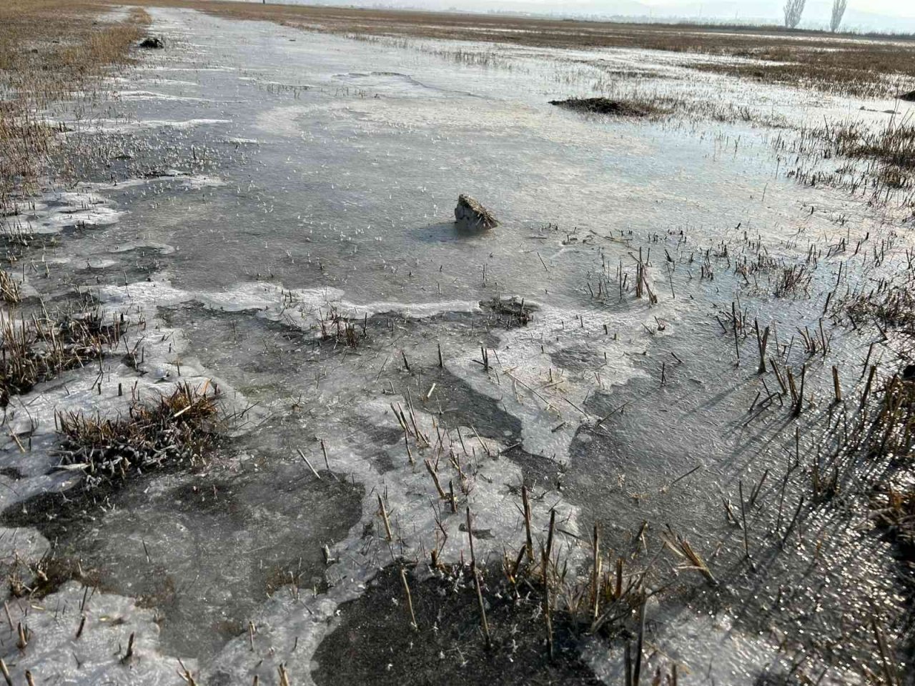 Hava sıcaklığının eksi 5’e düştüğü Erzurum buz tuttu