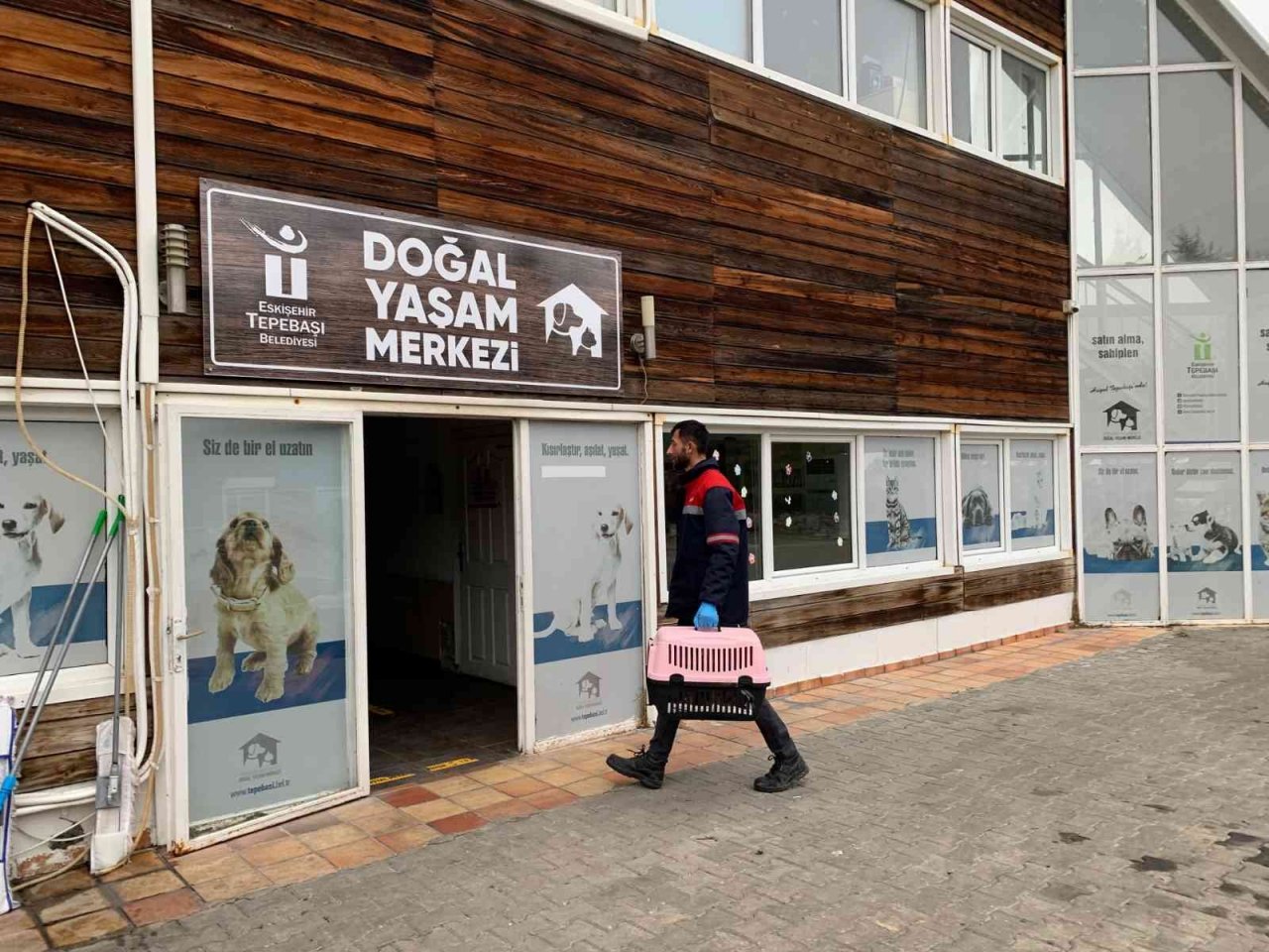 Ağzı bağlı çuvalda bulunan 8 yavru köpek ve sütannesi gözetim altına alındı