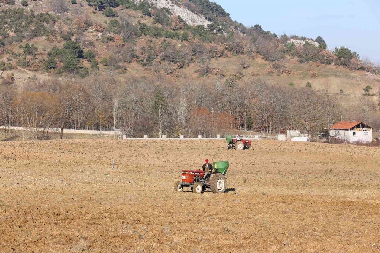 Gürsu Belediyesi buğday ekti