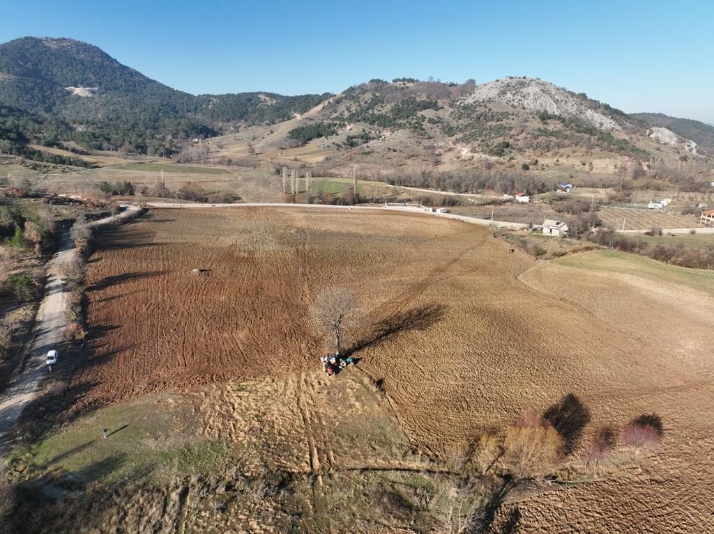 Gürsu Belediyesi buğday ekti