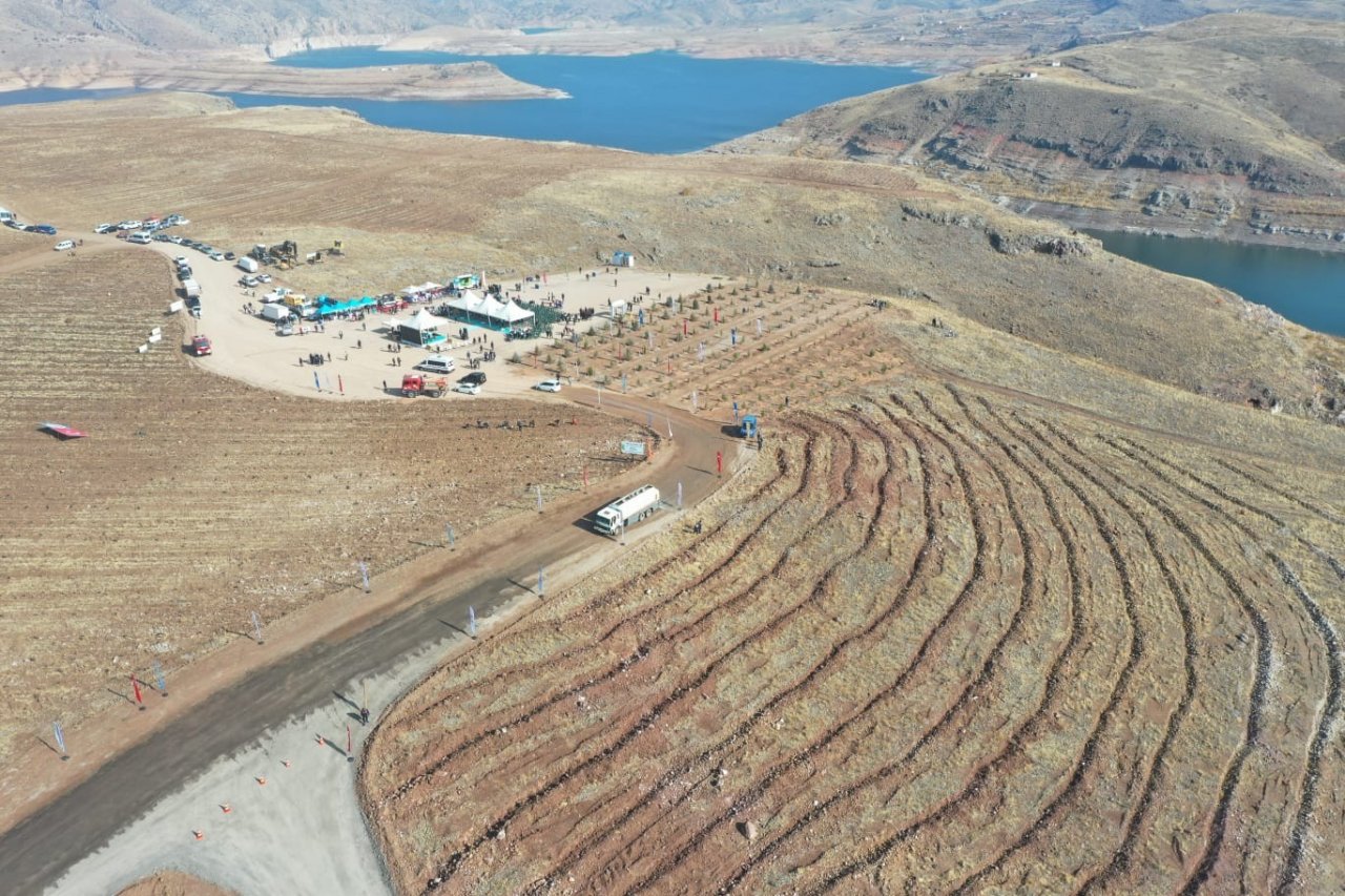 Başkan Çolakbayrakdar; “Bu yıl, 126 binden fazla ağacı toprakla buluşturduk”