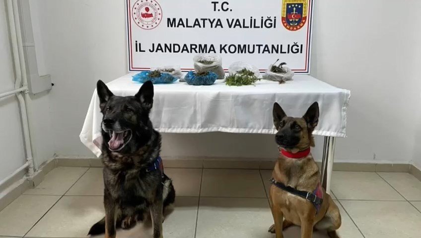Malatya’da Jandarmadan dron destekli uyuşturucu operasyonu