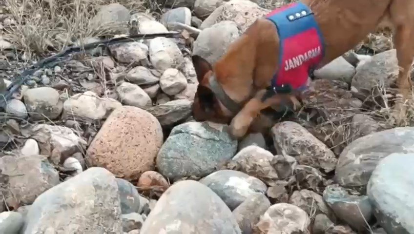 Malatya’da Jandarmadan dron destekli uyuşturucu operasyonu