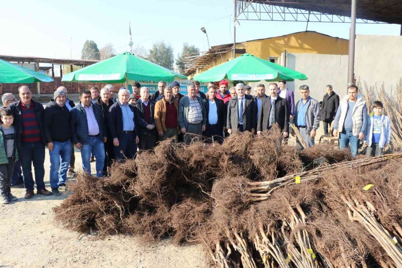 Üreticilerin meyve fidanları Manisa Büyükşehir Belediyesinden
