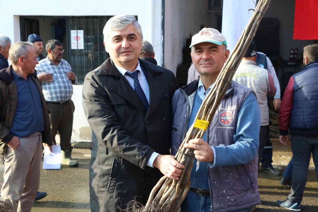 Üreticilerin meyve fidanları Manisa Büyükşehir Belediyesinden