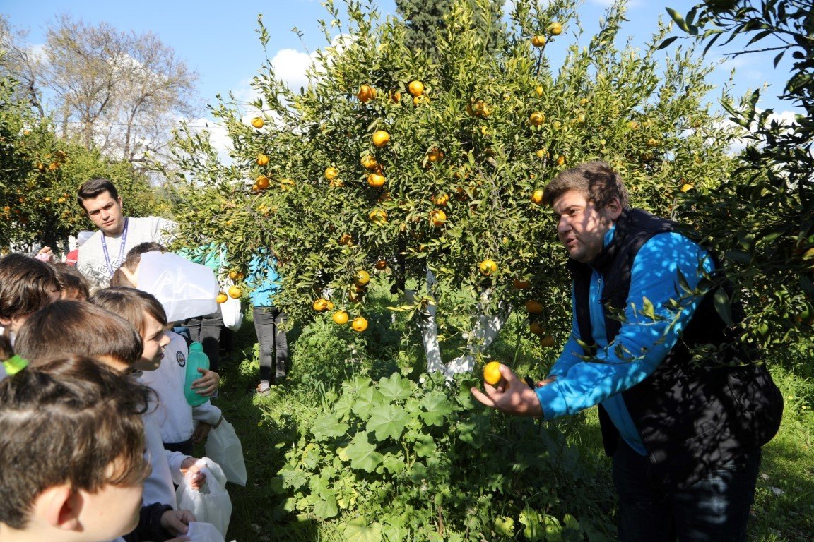 Başkan Aras, öğrencilerle mandalina hasadı yaptı