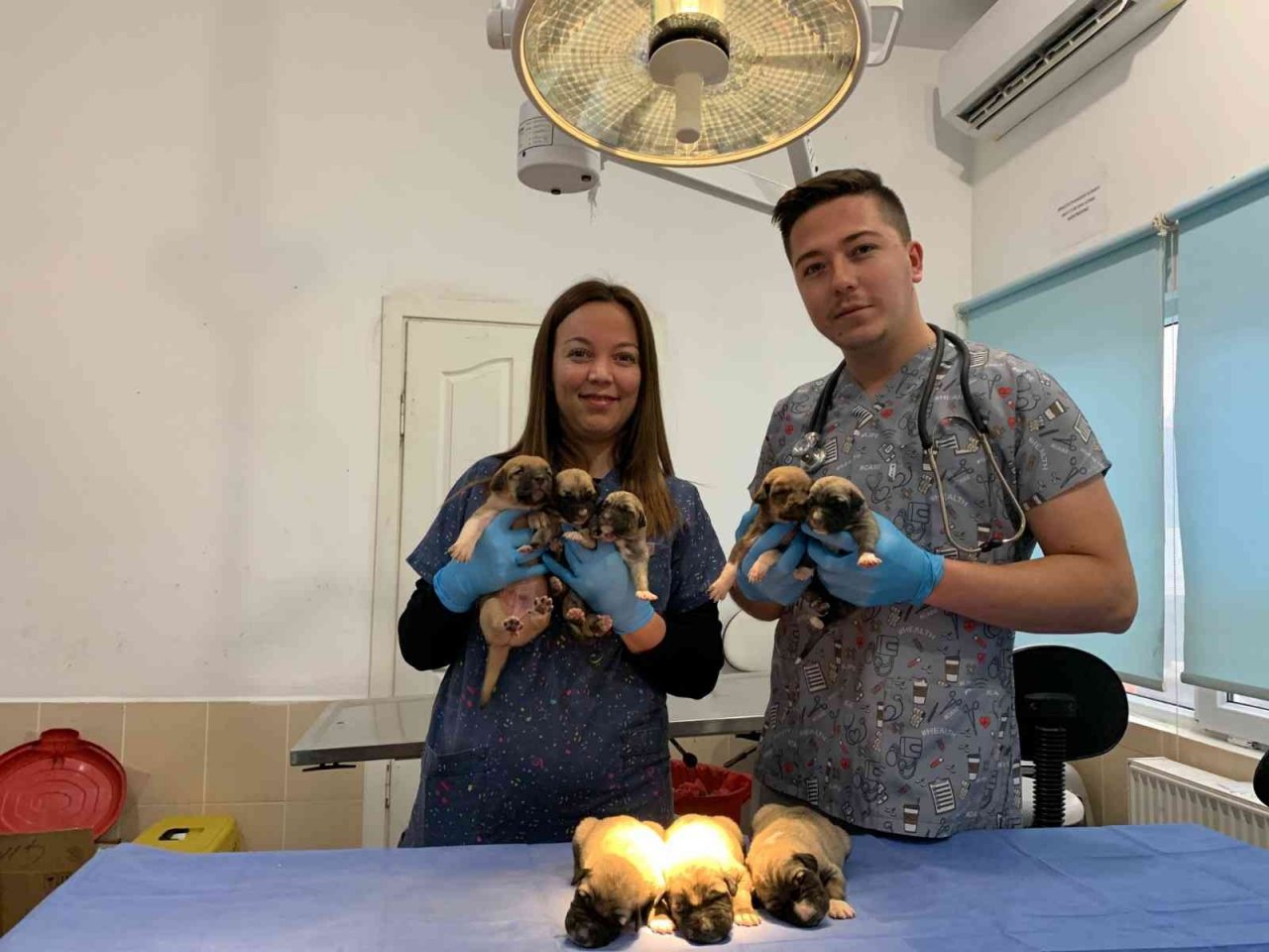 Ağzı bağlı çuvalda bulunan 8 yavru köpek ve sütannesi gözetim altına alındı