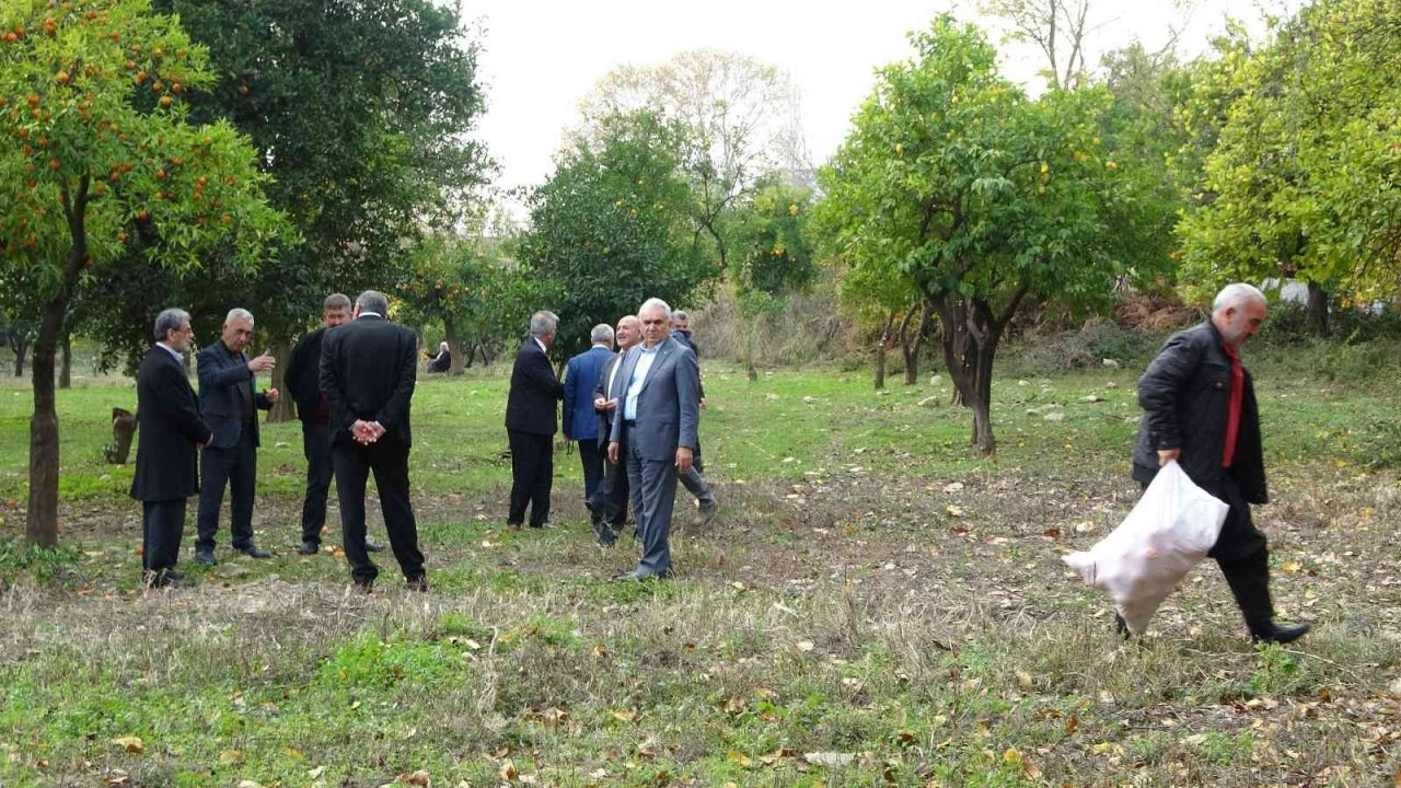 Kozan Belediyesinden halka açık narenciye bahçesinde ilk hasat